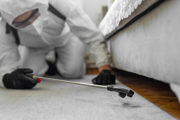 Professional Bed Bug Control technician working in Benton Harbor, MI