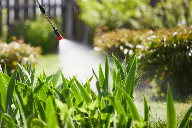24/7 Emergency Bed Bug Control experts in Benton Harbor, MI