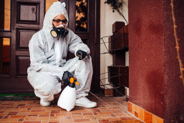 Reliable Bed Bug Control contractor in Benton Harbor, MI by Nex Pest Control