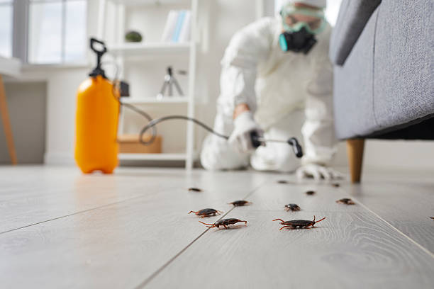 Trusted Bed Bug Control service in Benton Harbor, MI - Nex Pest Control